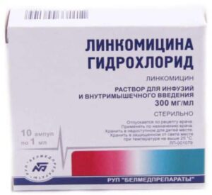 lincomicin-hydrochloride-belmedpreparaty-300-mg-ml-1ml-n10