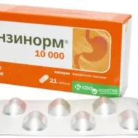 Panzinorm 10000 (pancreatin) capsules №21