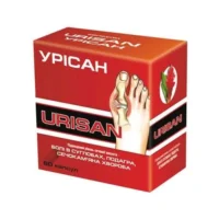 Urisan (rhizomes of ginger