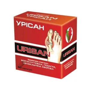 Urisan (rhizomes of ginger